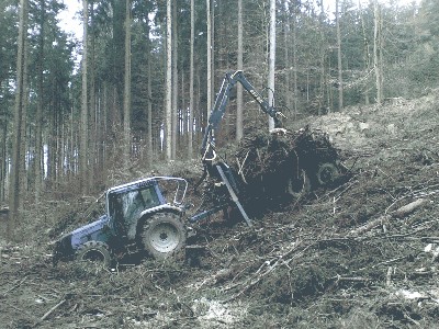 09032007(003).jpg