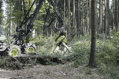 Waldtage2.JPG