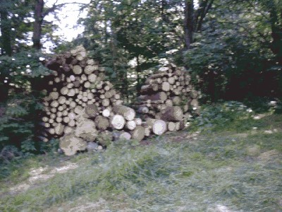 Holzpla_11.JPG