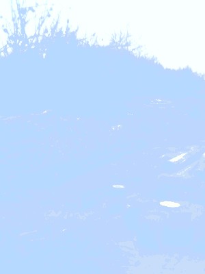 IMAGE_00060.jpg