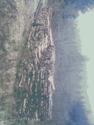 IMAGE_00059.jpg