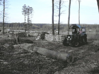 fendt Farmer 2Sa .jpg