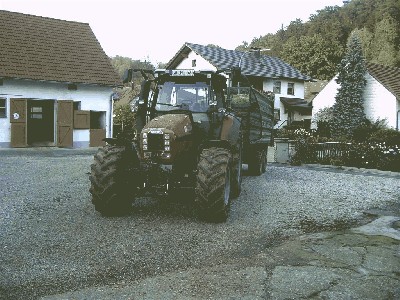 PIC03122 (Large).JPG