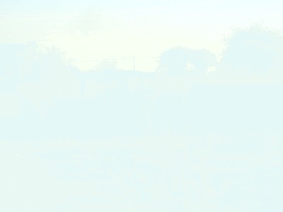 745-S    -    23.jpg