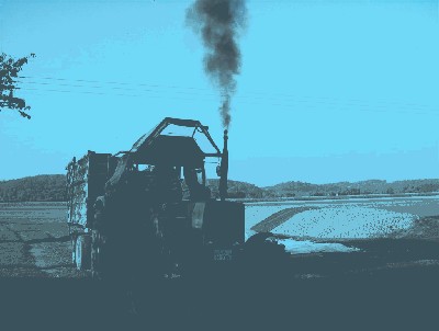 HPIM3143 (Large).JPG