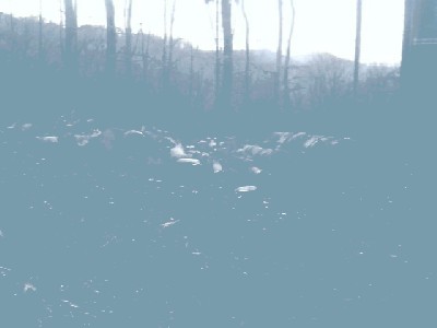 IMAGE_00004.jpg