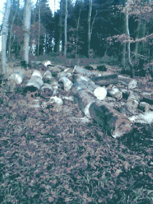 IMAGE_00007.jpg