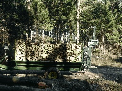 Hänger mit Spalter.JPG