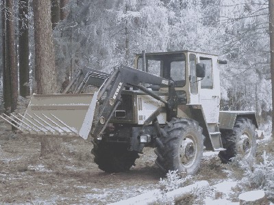 P1000545_1500x1125 b.JPG