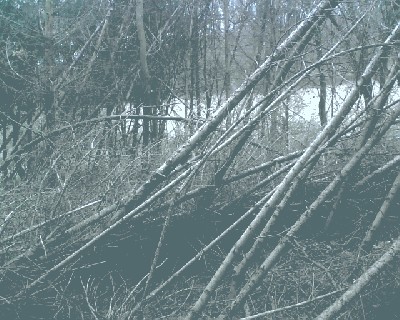 bild009.jpg