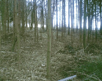 bild003.jpg