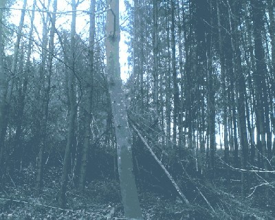bild008.jpg