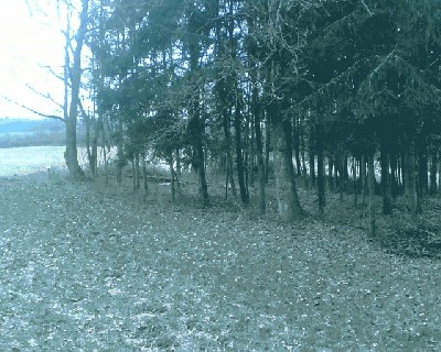 bild011.jpg