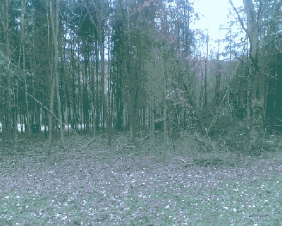 bild010.jpg