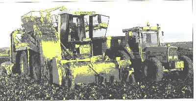 xerion2500-rübenroder.jpg
