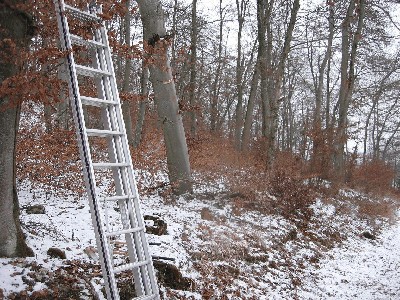 Bild 1.JPG