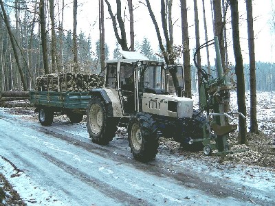holz 015.JPG