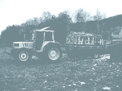 Holztransport1.JPG