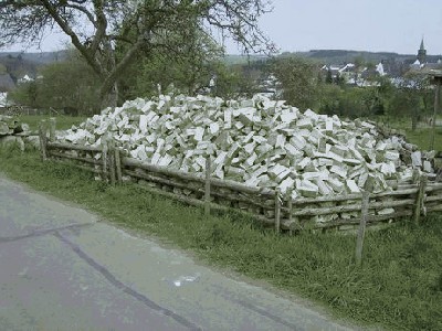 Resize of Resize of SV102282.JPG