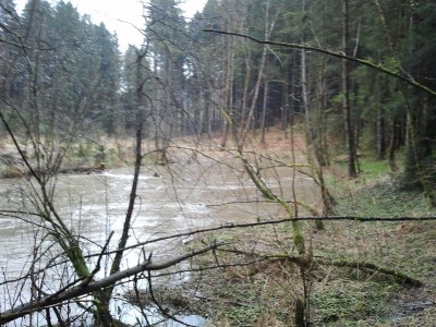 2013-02-02 09.38.11.jpg