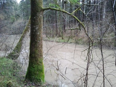 2013-02-02 09.38.20.jpg