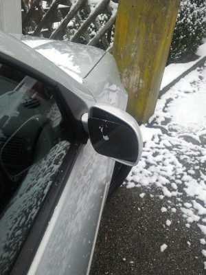 2013-02-03 10.54.53.jpg