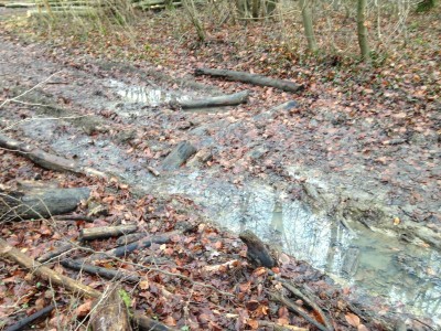 Eigenbau Wagen 002.jpg