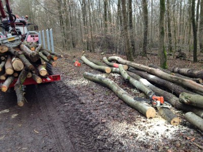 Eigenbau Wagen 007.jpg