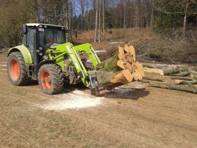 2012-03-23 11.12.35 (640x480).jpg