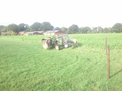 DSC_0003 (800x600).jpg