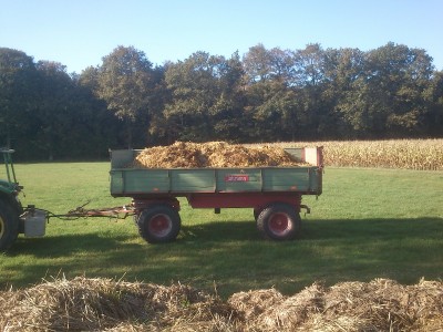 DSC_0008 (800x600).jpg