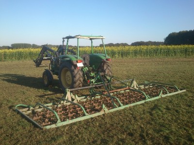 DSC_0012 (800x600).jpg