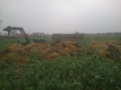 DSC_0024 (800x600).jpg