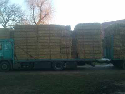 DSC_0117 (800x600).jpg