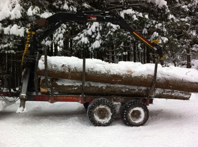 IMG_1340 - Kopie.JPG