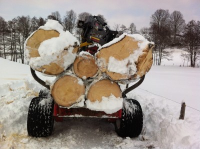 IMG_1361 - Kopie.JPG