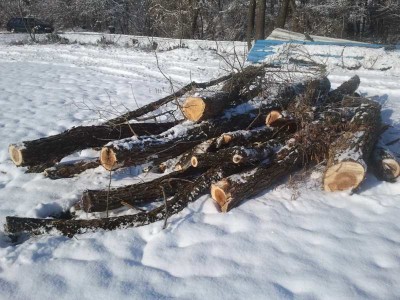 2013-02-10 10_138.52.37.jpg