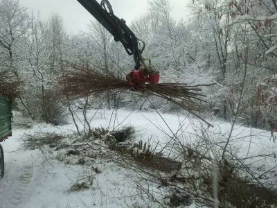 2013-02-09 09_061_122_001.33.59.jpg