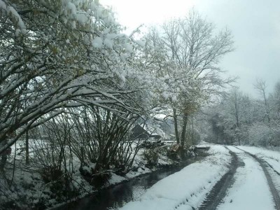 2013-02-09 14_073_134.13.05.jpg