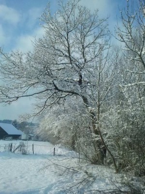 2013-02-09 09_067_128.48.48.jpg