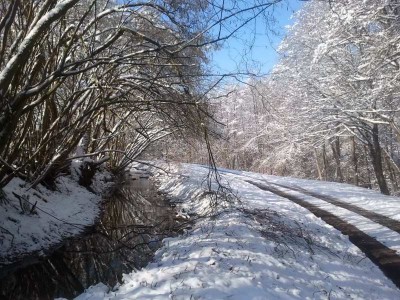 2013-02-10 11_077_142.05.51.jpg