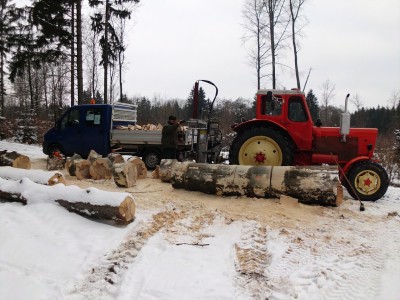 Holz Februar 2013 018.JPG