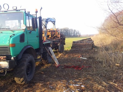 20130211_162453 (800x600).jpg