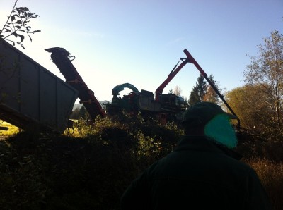 IMG_0908 - Kopie.JPG