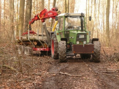 P1090017 (640x480).jpg