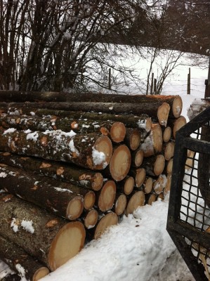 IMG_1448 - Kopie.JPG