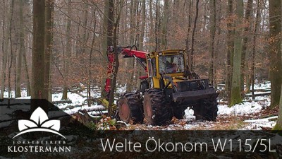 welte.jpg