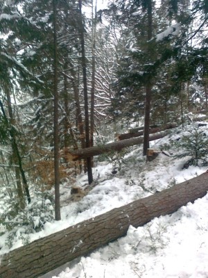 Schlagrichtung beachten.jpg