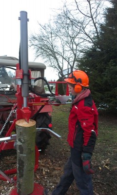 Dennis am spalten.jpg