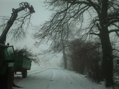 2013-02-16 08.37.57.jpg